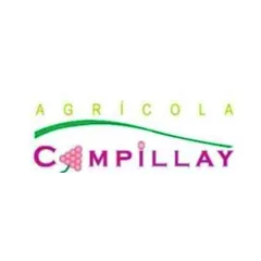 Logotipo de Agricola campillay, cliente de PIJ