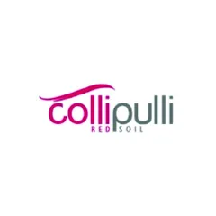 Logotipo de Collipulli, cliente de PIJ