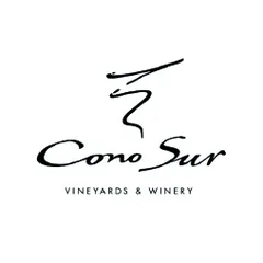 Logotipo de Cono sur, cliente de PIJ