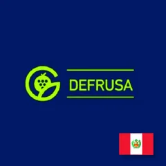 Logotipo de Defrusa, cliente de PIJ