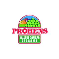 Logotipo de Prohens, cliente de PIJ