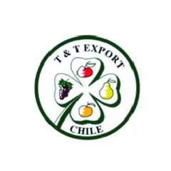 Logotipo de TYT Export, cliente de PIJ