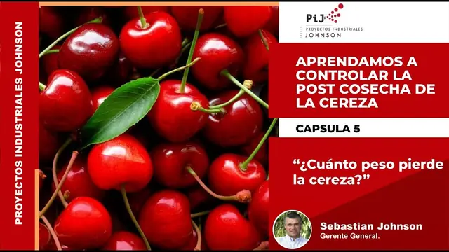 Miniatura del video: Cápsula 5. Cuánto peso pierde la cereza