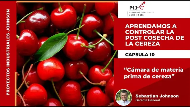 Miniatura del video: Cápsula 10. Cámara de materia prima de cereza
