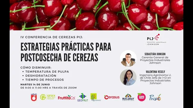 Miniatura del video: IV Conferencia de Cerezas PIJ. Estrategias prácticas para postcosecha de cerezas