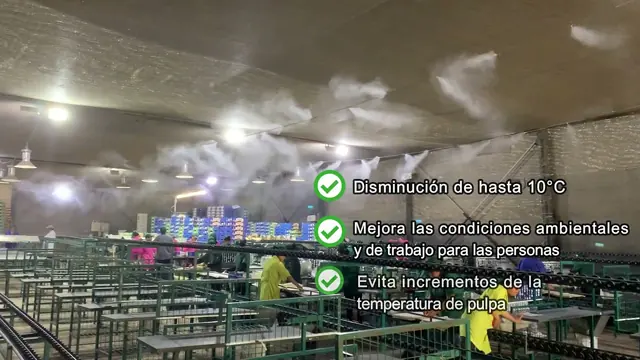 Miniatura del video: Climatización evaporativa en packing de uva de mesa